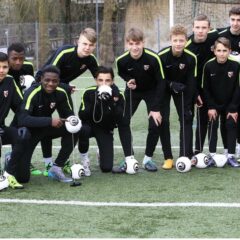 センスボールの導入実績と研究成果